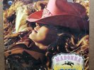 Madonna - Music - 2 Disk Set  - Vinyl Record LP
