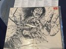 The Offspring - Offspring RARE 1st Vinyl Album Nemesis Records