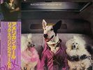 Rick Springfield - Success Hasn't Spoiled Me - VINYL JAPAN OBI Insert - RPL-8127