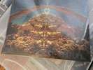 CRB CHRIS ROBINSON BROTHERHOOD - Big Moon Ritual 2012 - 2 LP NEW VINYL