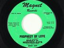 Doo-Wop 45 - Bailey's-Nervous-Kats - Prophecy Of Love - Magnet