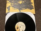Jack Johnson In Between Dreams Vinyl LP Very Good (Record, 2005)