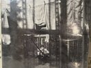 Paul McCartney - Chaos and Creation In The Backyard  LP (Sealed)