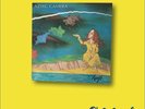 Aztec Camera Knife Original 1984 WEA Records 229 24-0483 Vinyl Lp