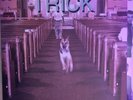 ALEX G - TRICK VINYL LP - 2015 - LTD  300 TRANS BLUE W/CD PLEASE READ