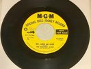Super Rare   The Electric Elves 45 RPM, MGM Promo K-13839 Hey Look Me Over 1967