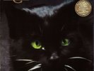 C.C. Catch ‎- Catch The Catch (Vinyl LP - EU 1986)
