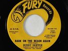 R&B Rocker 45 - Buddy Skipper - Back On The Beach Again - Fury - VG++