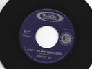 GARAGE  ROCKERS 45  -  COUNT IV - DONT BLOW YOUR COOL -  HEAR 1965 DEVILLE