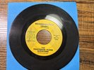 TEXAS PSYCHEDELIC GARAGE PUNK 45 Thirteenth Floor Elevators Reverbaration/Fire