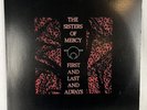 The Sisters of Mercy 