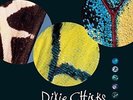 Dixie Chicks - Fly (Remastered, 150 Gram Vinyl, Gatefold LP Jacket) (2 Lp's) - R
