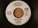 The Remains  Why Do I Cry/My Babe  Promo  RARE  Garage 1965 Epic B Side Non-LP