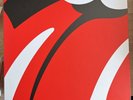 The Rolling Stones: 1971-2005 Vinyl Box Set by The Rolling Stones (Record, 2010)