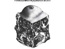 Against Me  | Blue Vinyl LP | Transgender Dysphoria Blues  |