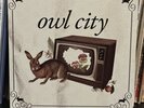 Owl City Fireflies -Vanilla Twilight 7