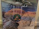 Hawkwind Levitation Blue Vinyl Record