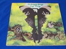 Dr. STRANGELY STRANGE / Heavy Petting OG UK 1st PRESS LP VERTIGO 1970 FOLK PSYCH