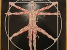 Leeway-Born to expire-Vinyle 33t