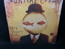 Counting Crows - This Desert Life LP White Import Vinyl New Sealed