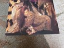 Original DEAD OR ALIVE Sophisticated Boom Boom  LP