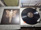 AURORA , ALL MY DEMONS GREETING ME AS A FRIEND GLS-0179-01 , Tested, Ex