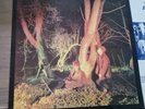 Echo And The Bunnymen - Crocodiles Korova KODE 1 First UK Pressing LP 1980