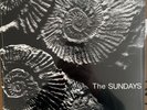 The Sundays Reading, Writing, and Arithmetic Dark Grey Vinyl LP NEW SEALED