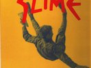 Slime Sich Fügen Heisst Lügen GATEFOLD NEAR MINT People Like You Vinyl LP