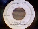 The People Skanking - The New Establishment