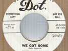 THE LINCOLNS*WE GOT SOME*DEMO*GARAGE*ROCK*DOT RECORDS*LISTEN TO IT