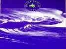Midnight Oil Scream In Blue - Live NEAR MINT Columbia Vinyl LP