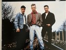 6xNeo Rockabilly/Rock'n'Roll LP. Brian Setzer, Restless,Los Straitjackets...