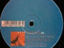 Wishmountain Radio Vinyl Single 12inch Evolution