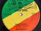 JAH SCREECHY Walk & Skank 12'' on Blacker Dread 1984 uk dub dancehall