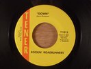 Rockin' Roadrunners  Down/Urban Meadows  RARE  Florida Garage, Psych 1968 Tener