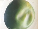 El Pea: RARE 1971 Island Records Compilation EX 2LP Mott Traffic Denny Tull Free