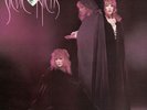 Stevie Nicks - The Wild Heart-Remastered 180g Vinyl Import-NEW & SEALED