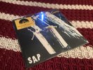 Alice In Chains Sap 12