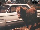 Dinosaur Jr. - The Black Session - (Vinyl, 12