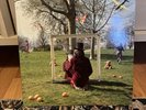 An Introduction To Syd Barrett(Pink Floyd)  Vinyl *Near Mint*RSD