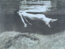 Bill Evans / Jim Hall – Undercurrent - MoFi Vinyl - Near Mint