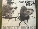 Modest Mouse - No One's First and You're Next [New Vinyl LP] 180 Gram, Download