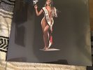Beyoncé Cowboy Carter 2LP Blue Vinyl BRAND NEW and SEALED