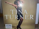 Tina Turner Queen of Rock n Roll (Vinyl 5LP Box Set) [NEW]