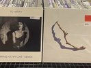 PJ HARVEY DRY 4-TRACK DEMOS I INSIDE THE OLD YEAR TO BRING YOU NEW 4 LP LOT