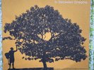 In Between Dreams by Jack Johnson (LP, 2005)