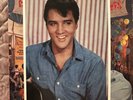 elvis presley roustabojt and kissin cousin japan bonus photo