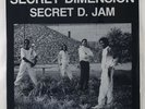 Secret Dimension 