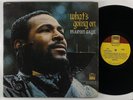 Marvin Gaye 
